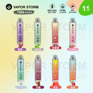 VAPOR STORM 風暴辣妹7500口拋棄式可充電電子煙 | 正品保證 快速發貨